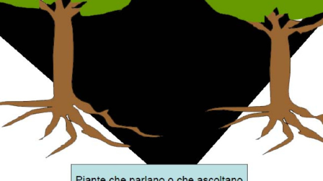 Piante: scoperta una particolare forma di comunicazione - wordpress.com