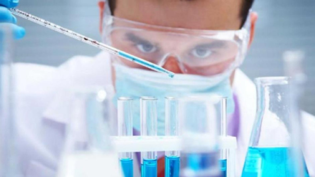 Scoperte nei maiali un nuovo virus simile alla Sars