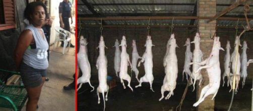 A not&iacute;cia viralizou e causou grande indigna&ccedil;&atilde;o nos internautas