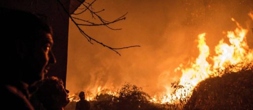 Galicia sufri&oacute; en 2017 una devastadora oleada de incendios. | EL PA&Iacute;S - elpais.com