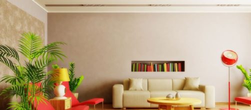 Se sabe c&oacute;mo amenizar problemas como la contaminaci&oacute;n, a trav&eacute;s del cultivo dom&eacute;stico de plantas