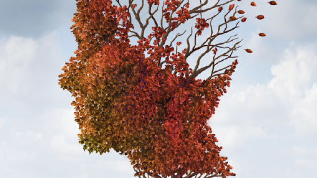 Vuoti di memoria? 4 rimedi naturali dall'ayurveda - fusionpilatesyoga.it