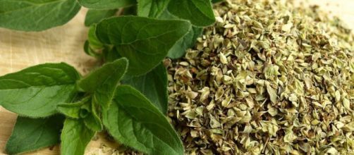 Los beneficios de las plantas arom&aacute;ticas en la salud para este verano