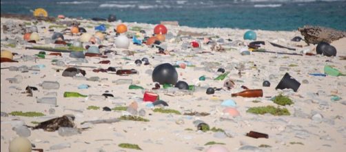 Marine debris on a beach in the Hawaiian Islands National Wildlife Refuge. - [Image credit - Susan White / Wikimedia Commons]