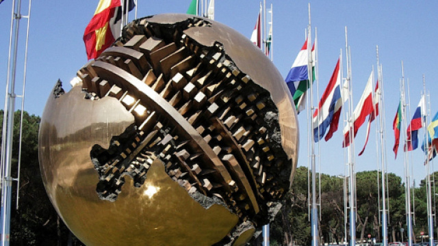 349 borse di studio per tirocini in consolati