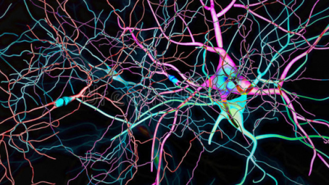 Neuroni: il casco per monitorare costantemente l'attivit&agrave; cerebrale - dreamstime.com