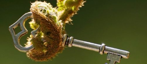 Can we always control our lives? Image credit CCO creative Commons | Pixabay