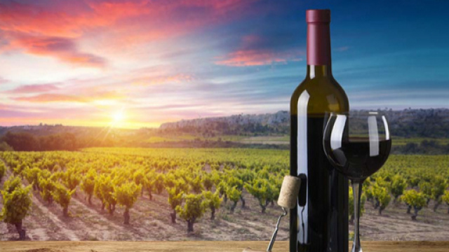 Eventi 2 giugno in Toscana - winecoolerdirect.com