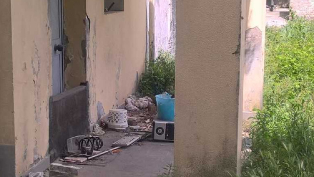 Giulianova, zingara cuoce e mangia un gatto