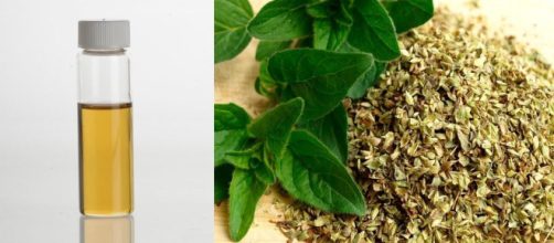 Aceite de Or&eacute;gano: Contraindicaciones, Propiedades Medicinales ... - unisima.com