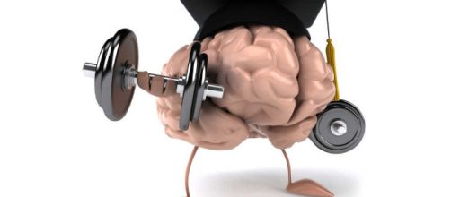 Las primeras horas son importantes en el aprendizaje