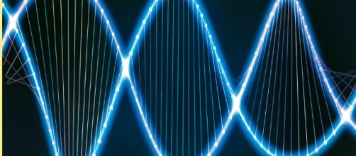 Un estudio reciente estableci&oacute; que despu&eacute;s de la muerte, el ADN sobrevivi&oacute; durante otros cuatro d&iacute;as