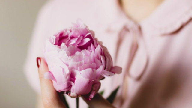 galateo-dei-fiori-donna-fiore - Corato LoStradone.it - lostradone.it