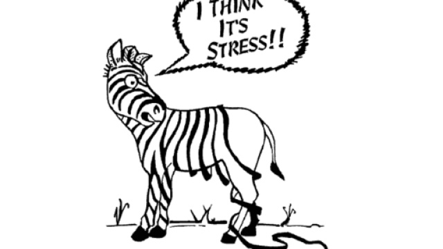 Lo stress - conosciamolo meglio - Studio Psicologia Pathos - psicologiapathos.it