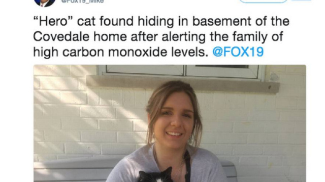 Usa, intera famiglia salvata dal gatto Boo.