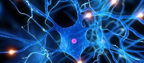 Para limitar los problemas cardiovasculares, el colesterol debe reducirse, por ejemplo, mediante la actividad f&iacute;sica regular