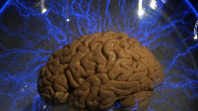 Un metodo per craccare il cervello - Wired - wired.it