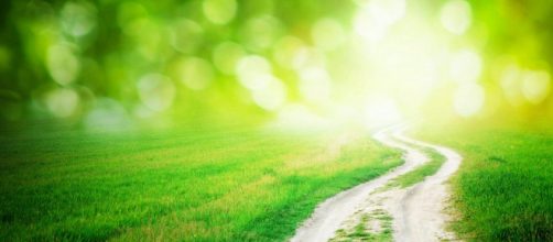 El Ayurveda es la medicina m&aacute;s antigua que a&uacute;n se practica