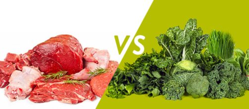 Conoce las prote&iacute;nas animales y las vegetales