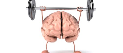 Se debe tener todos los dias un Entrenamiento Cerebral