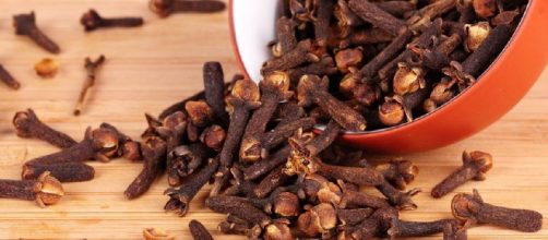Clavo de olor - Unisima.com - unisima.com