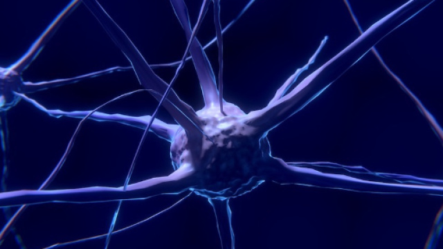 Neuroscienze - Wired - wired.it