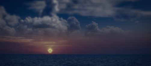 Dreams are curiosities [image source - Pixabay - Walkerssk]