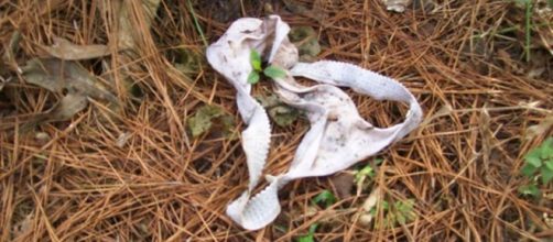 Jovem &eacute; encontrada morta sem roupas.