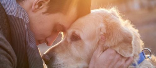 marzo, 2017 - JACINTO LUQUE AGUILAR - blogcindario.com