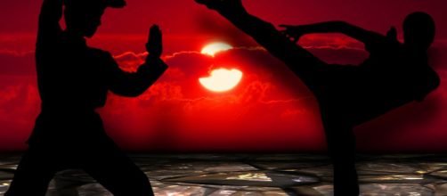 Jules Nasso speaks about Netflix martial arts action &lsquo;Darc&rsquo; Photo via kalhh / 3784 images, Pixabay -