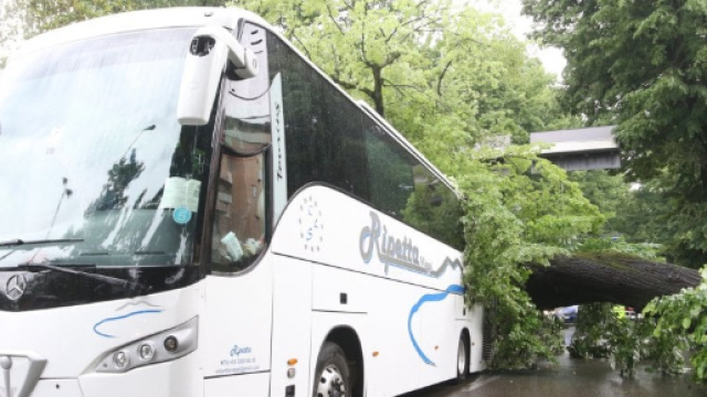 Firenze: albero cade su pullman turisti