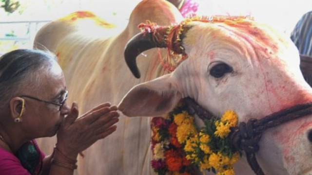 India, giovani massacrati per un po' di carne