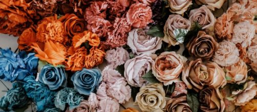 Hay vida m&aacute;s all&aacute; de las cl&aacute;sicas rosas de colores. Combina tu ramillete como m&aacute;s te guste.