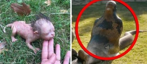 Todo mundo j&aacute; acreditou e compartilhou uma fake news ao menos uma vez na vida.