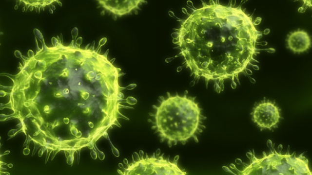 Nipah: identificato virus killer in India - leganerd.com