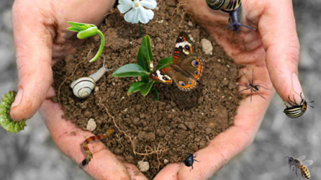 22 Maggio: Giornata mondiale della biodiversit&agrave;