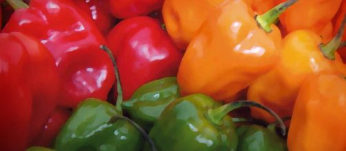 DIFERENTES TIPOS DE CHILES | Peque Lopez - wordpress.com