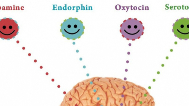 Gli ormoni della felicit&agrave;: come diventare felice? &ndash; Eccellente Donna - eccellentedonna.it