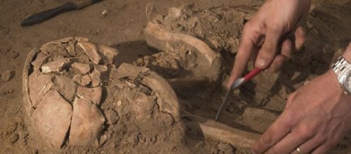 An archaeologist uncovers bones. - [Image via Tech. Sgt. Tracy L. DeMarco - US Air Force]