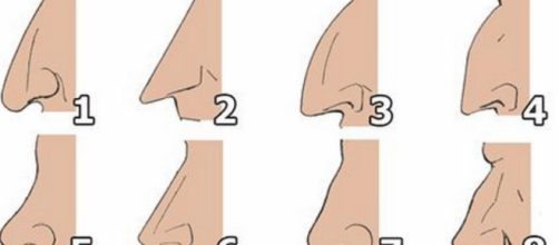 Tipos de nariz. (Foto/Reprodu&ccedil;&atilde;o via Blasting News).