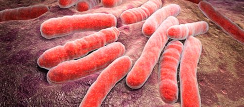 El equipo de gimnasio est&aacute; cubierto de g&eacute;rmenes