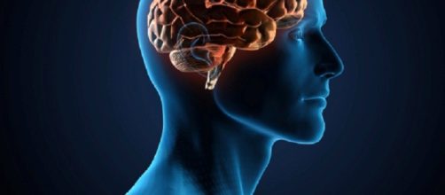 Las memorias a corto plazo no se transforman en recuerdos a largo plazo