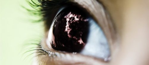 Definitivamente, la vista es uno de los sentidos m&aacute;s importantes que tenemos y deber&iacute;amos de poner m&aacute;s atenci&oacute;n a todas sus funciones