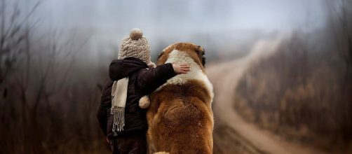 Los perros ense&ntilde;an inteligencia emocional