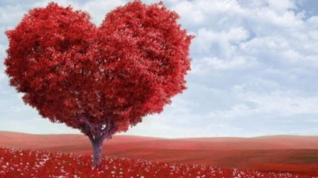 Oroscopo del giorno 2 giugno 2018, previsioni, classifica e Astrologia di sabato 2 giugno