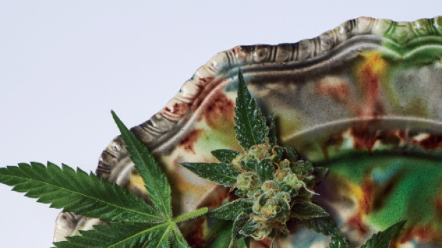 Messico, lamenta dolori alla pancia: aveva un chilo di marijuana nell'utero