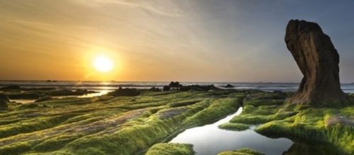 Our lives are not defined by the things we say, but the actions we take - Image credit - CCO creative commons | Pixabay