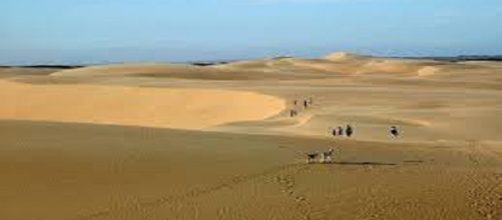 Los M&eacute;danos de Coro en Falc&oacute;n, para&iacute;so tropical