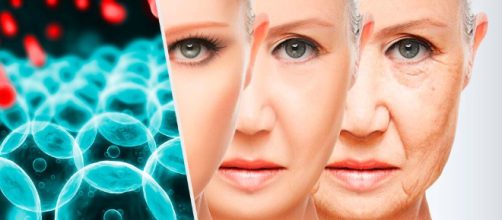 Radicales libres, los responsables del envejecimiento - Mejor con ... - mejorconsalud.com