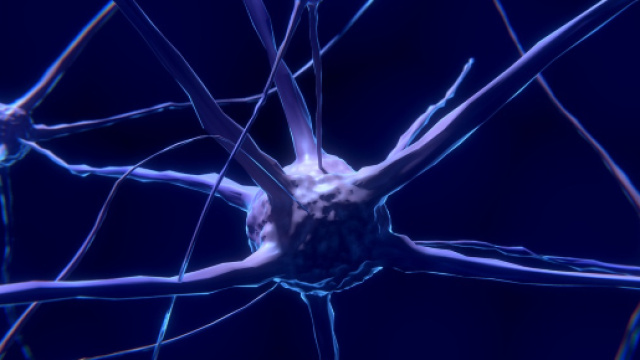 Accesi nei topi i neuroni dell'aggressivit&agrave;